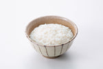 白飯(お皿に盛られている姿)